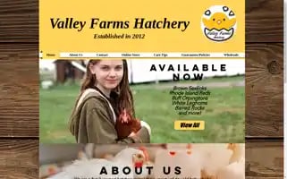 Valleyfarmshatchery.com Screenshot 2024-05-14 20:03:21