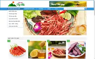 Dacsanngontaybac.com Screenshot 2024-06-18 16:16:09