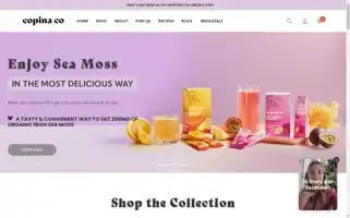 Copinaco.com Screenshot 2024-05-05 10:14:19