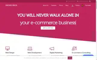 Swordbros.com Screenshot 2024-06-26 20:47:45