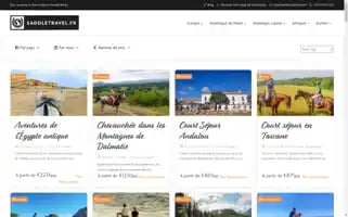 Saddletravel.fr Screenshot 2024-04-14 23:51:02