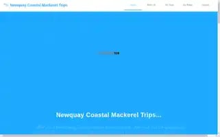 Newquaycoastalmackereltrips.co.uk Screenshot 2024-04-17 14:08:43