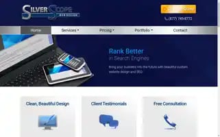 Silverscopedesign.com Screenshot 2024-06-13 01:17:22