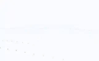 Peyzajmimarligi.com Screenshot 2024-07-08 10:48:25