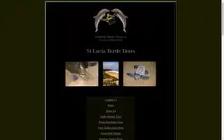 Stluciaturtletours.co.za Screenshot 2024-04-14 08:26:58