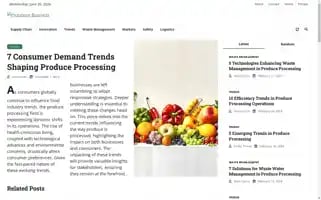 Processorbusiness.com Screenshot 2024-06-26 20:25:49