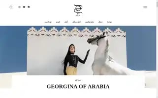 Hiamag.com Screenshot 2024-06-16 09:48:23