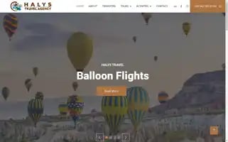 Halystravel.com Screenshot 2024-04-16 16:43:54