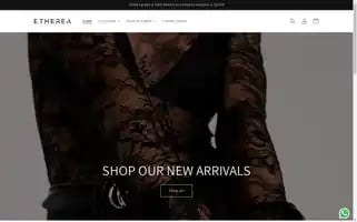 Ethereaconceptstore.com Screenshot 2024-05-02 06:39:00
