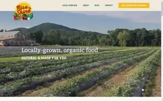 Risenshinefarm.com Screenshot 2024-06-29 07:28:55