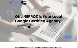 Onlineproz.com Screenshot 2024-06-12 23:04:55