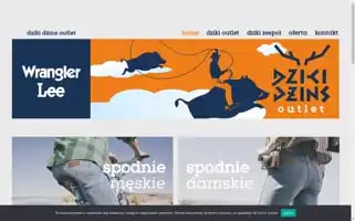 Dzikidzins.pl Screenshot 2024-05-27 20:14:28