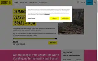 Amnesty.org.uk Screenshot 2024-06-14 01:29:22