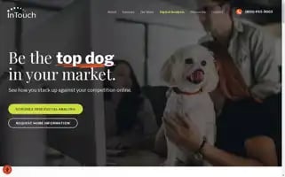 Intouchvet.com Screenshot 2024-07-03 09:09:36