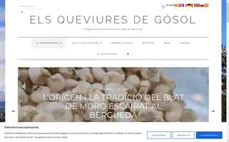 Elsqueviuresdegosol.com Screenshot 2024-05-29 11:40:58