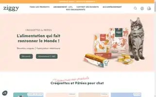 Ziggyfamily.com Screenshot 2024-05-05 14:00:11