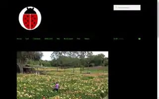 Ladybugdaylilies.com Screenshot 2024-06-11 23:50:53