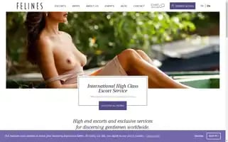 Felinesescort.com Screenshot 2024-06-13 06:20:29
