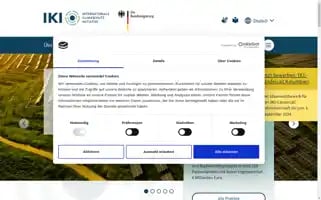 International-climate-initiative.com Screenshot 2024-06-30 17:20:16