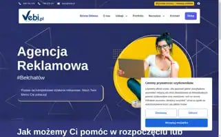 Vebi.pl Screenshot 2024-06-14 22:44:44
