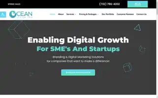 Oceandesignpro.com Screenshot 2024-06-17 20:48:58