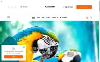 Plastistudio.com Screenshot 2024-05-28 06:36:51