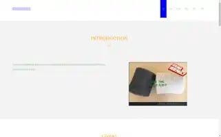 Paperpassp.com Screenshot 2024-07-05 22:28:21