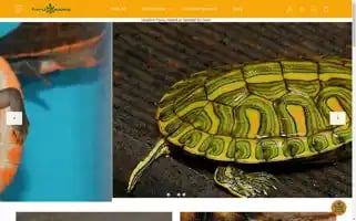 Theturtlesource.com Screenshot 2024-05-14 11:30:04