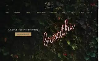 Wildlanetea.com.au Screenshot 2024-05-03 11:25:53
