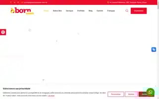 Bornagencia.com Screenshot 2024-06-19 02:57:48