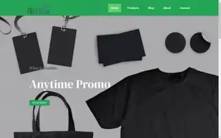 Anytimepromoinc.com Screenshot 2024-05-25 21:03:53