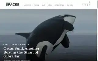 Wideopenspaces.com Screenshot 2024-05-15 03:06:05