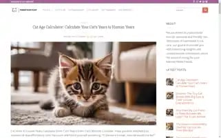 Pinkfairycat.com Screenshot 2024-05-28 10:22:56