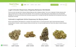 Potentclinic.com Screenshot 2024-06-17 03:41:38