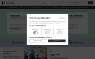 Udir.no Screenshot 2024-06-14 20:26:05