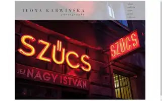 Ilonakarwinska.com Screenshot 2024-07-04 20:21:44