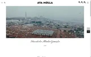 Ayamolla.com Screenshot 2024-05-27 17:19:40