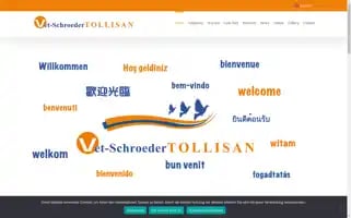 Schroeder-tollisan.com Screenshot 2024-06-16 23:18:30