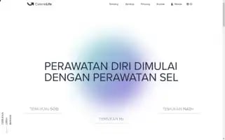 Calerie.co.id Screenshot 2024-07-03 08:32:12