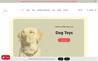 Brainytails.com Screenshot 2024-05-03 16:51:47