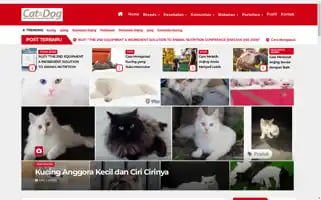 Infocatdog.com Screenshot 2024-07-09 12:45:14
