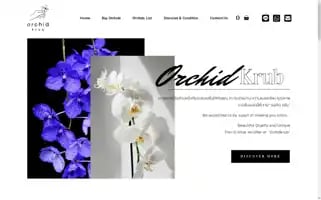 Orchidkrub.com Screenshot 2024-05-19 23:49:06