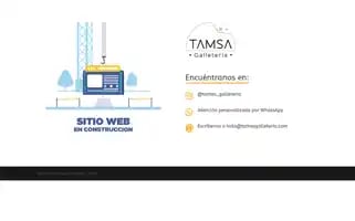 Tamsagalleteria.com Screenshot 2024-05-18 21:18:00