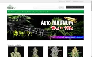 Thcentrum.pl Screenshot 2024-06-17 15:20:49