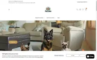 Fellowspaws.com Screenshot 2024-05-02 03:41:25