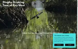 Dinghydrinkingtourkeywest.com Screenshot 2024-04-25 20:14:06