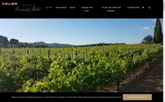 Bodegafernandezbolet.com Screenshot 2024-05-29 13:06:34