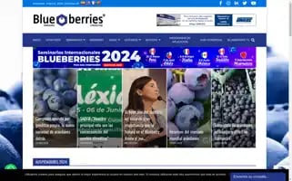 Blueberriesconsulting.com Screenshot 2024-05-08 19:54:59