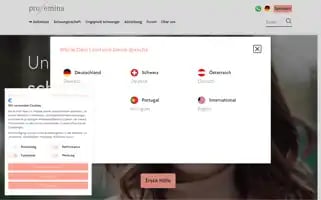 Profemina.org Screenshot 2024-06-19 06:41:12