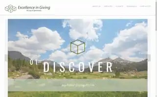 Excellenceingiving.com Screenshot 2024-06-13 03:09:18